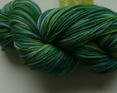 Sport-a-licious Yarn