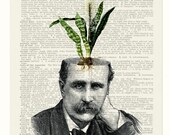 Potted plant - mother-in-laws tongue - printed on page from old dictionary