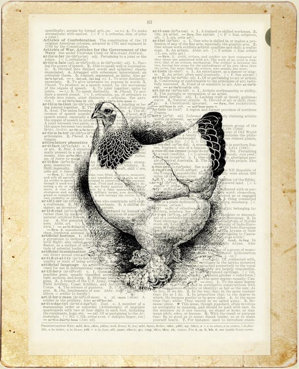 Hen - vintage hen artwork printed on page from old dictionary