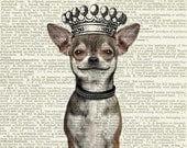 chihuahua - smiling dog with crown - printed on page from vintage dictionary