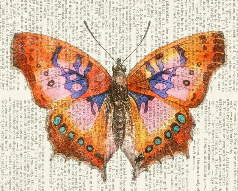 Butterfly - vintage pink butterfly artwork printed on old dictionary page