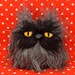 Little Colonel Meow