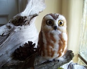Needle Felted Life Size Saw Whet Owl
