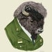 Bison art print 8x10