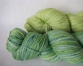 Paired Skeins Pixie Dust Fingering Glitter Sock Silk Merino Yarn Superwash Handpainted Colors: New Hope and Early Leaf