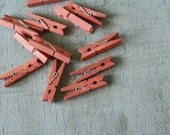Small Stained Clothespins - Nectarine