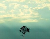 Tree Photography, Nature Photograph, Landscape Picture, Minimalist, Teal, Black, Sky, Clouds - 5x7 inch Print -One Tree