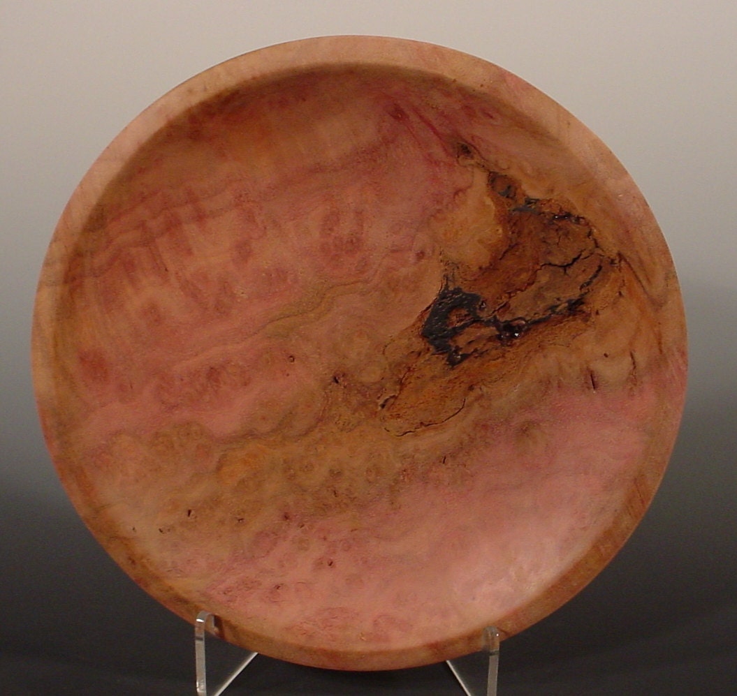 Camphor Burl wood bowl number 5003 by Bryan Tyler Nelson