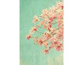Star Magnolia Photograph, Pink  on Mint,  Garden Landscape, French Country Home, Flower Photography, Floral Art Wall Decor