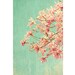 Star Magnolia Photograph, Pink  on Mint,  Garden Landscape, French Country Home, Flower Photography, Floral Art Wall Decor