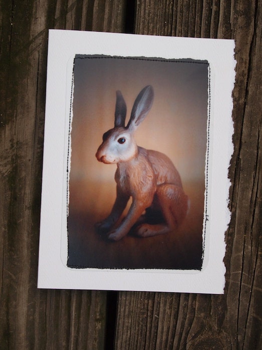 Plastic Toy Rabbit -Notecard 5x7