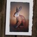 Plastic Toy Rabbit -Notecard 5x7