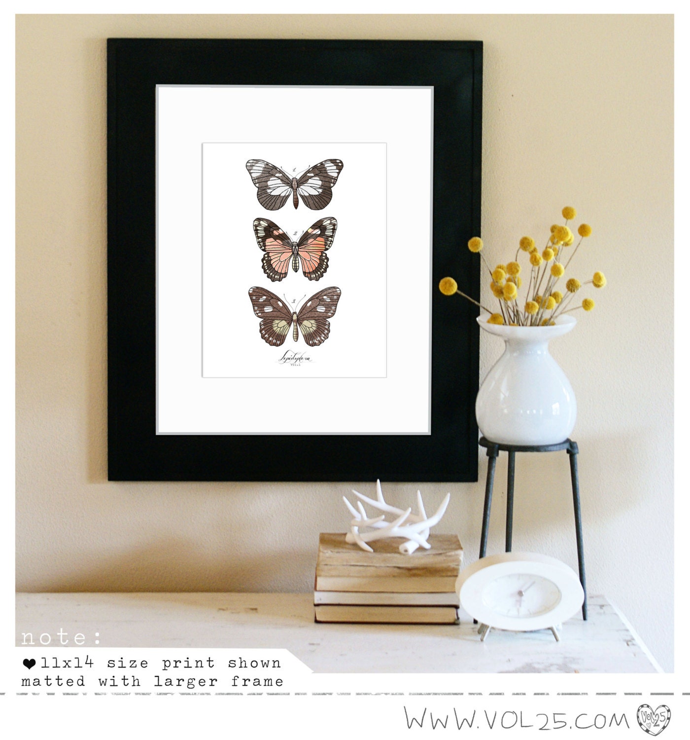 Vintage Inspired Science Print - Lepidoptera VOL 1