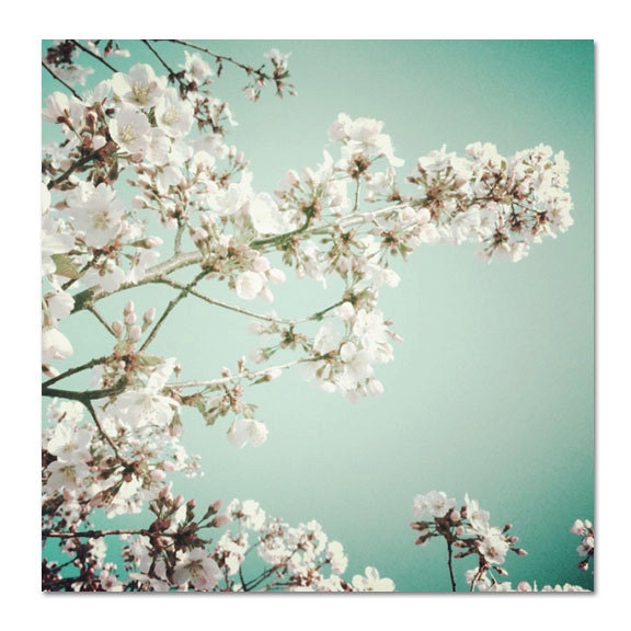 Nature Photograph, 5x5 Print, Vintage Spring Blooms, Mint Green, White Flowers, Tree Blossoms Fine Art Photo, Home Decor