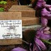 Gardener's Healing Herbal Soap - Handcrafted Natural Soap with Honey & Poppy Seeds