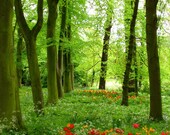 The Grove