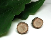 Rustic Oak Twig Wooden Stud Earrings with character by Tanja Sova