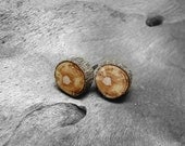 Rustic Magnolia Twig Wooden Stud Earrings with character by Tanja Sova