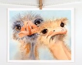 Bird Art Painting Print Watercolor -  Ostrich Painting, Nature art, Animal Art, Australia - Women Men Kids - White Grey pink -  7.6 x 9.6