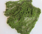 Moss Sheet for Miniature Garden, Terrarium, Craft, Artificial Green Sheet Moss