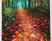 Where leaves gather, 5x7, original signed, Fine art photograph, Fall decor, autumn, leaves, nature