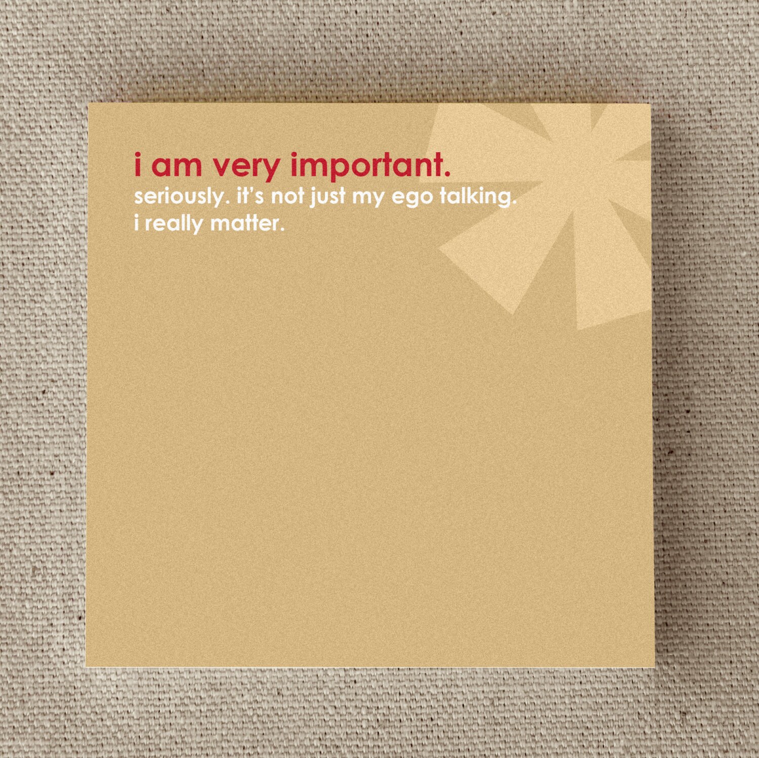 Father's Day Gift, Sticky Notes for Home or Office, "I Am Very Important" (NSN-X207)