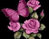 Roses All Natural Perfume Oil with Essential Oils and Rose Extract