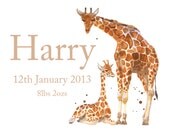Baby Announcement Print, Custom baby announcement. giraffe baby print, giraffe art