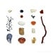 Beachcombing series (No.20)  - 8 x 8 photograph - seaweed, clam, mussel, shell, crab, driftwood, seaglass