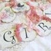 It's a Girl Baby Shower Parchment Party Banner Garland  - Choice of Ribbon Colors