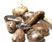 Petoskey Stones Jewelry - Beach Pebbles Fossils Set Zen, UNdrilled Primitive Rocks - DIY, Craft, Spa -  "Leopard Mix" by StoneMe