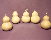 Craft Gourds 5 Chubby Mini Craft Gourds, Christmas Ornaments  (Item 32)