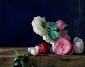 Flower Photograph No. 88235