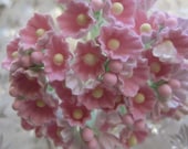 One Bouquet Of Forget Me Nots Flowers An Old Fashioned Favorite Soft Pink