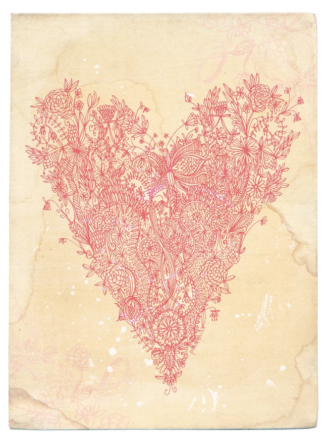 Love art print in pink - fine archival art print - A4 Sweet William illustration