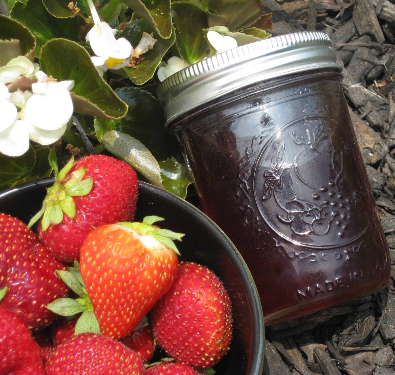 NEW Strawberry Wine Jam 8 oz Jar Merlot Preserves