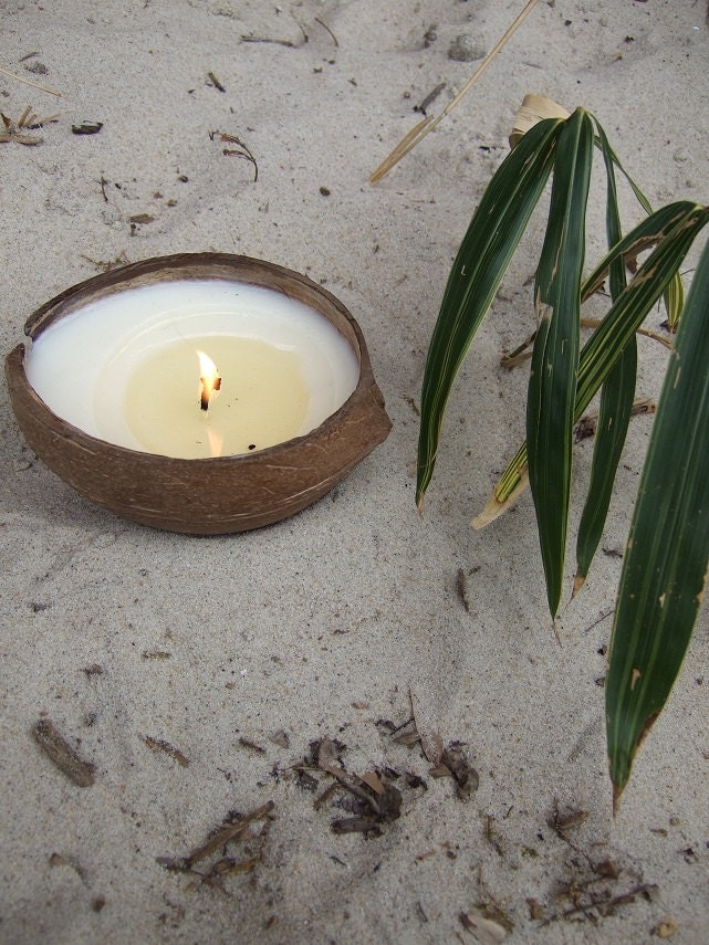 CREAMY COCONUT VANILLA -- Coconut Shell Soy Candle