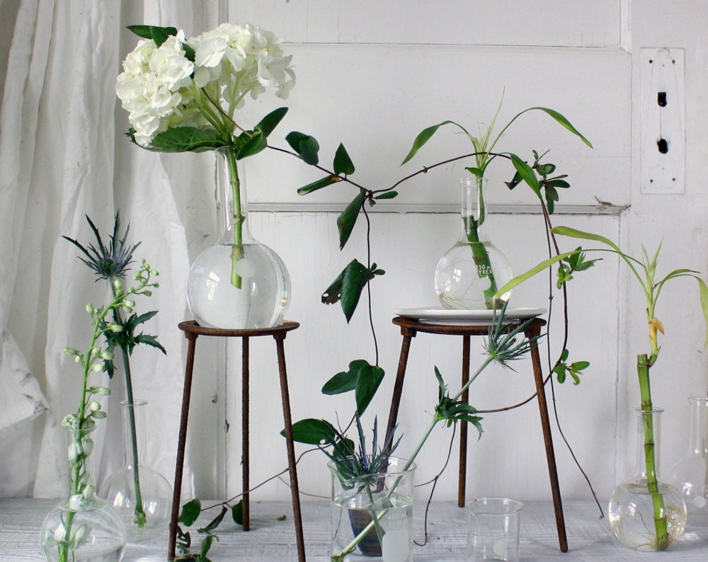 Vintage Lab Beaker Vase