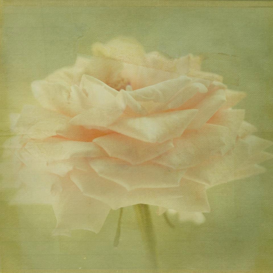 Her Passion Change 8x8 Print