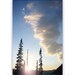 Photography, Washington State, Cascade Mountains, Forest Landscape, Woodland Photos, 8x12