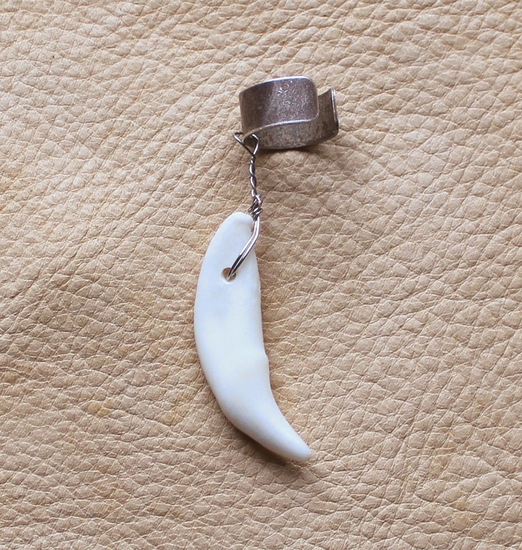 Real single coyote tooth on silver-plated brass ear cuff