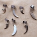 Animal menagerie set of SEVEN claw and tooth ear cuffs coyote fox bobcat badger more