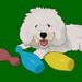 4x6 Pet Portrait Gift Certificate