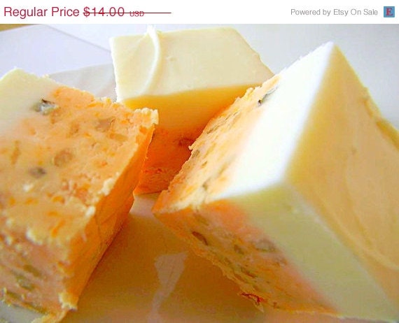 SALE Julie's Fudge - CARROT CAKE - 6 Pieces (Over 3/4lb)