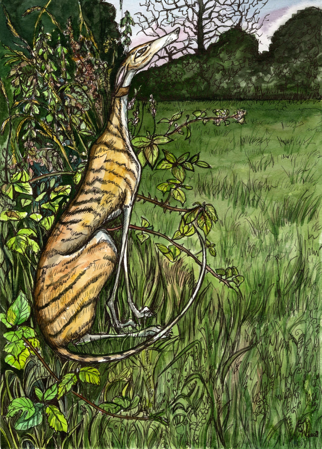 Waiting for the Moon - Greyhound Art Print - EXTRA LARGE very last signed print