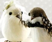 New and On Sale - Polka Dotty Love Birds Wedding Cake Topper: Rustic, Country Bride & Groom Lovebirds in Dove Gray and Soft Brown