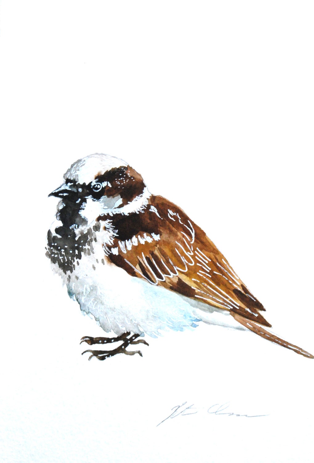 Watercolor Painting, Sparrow, Bird Painting, Original, 6"x9"