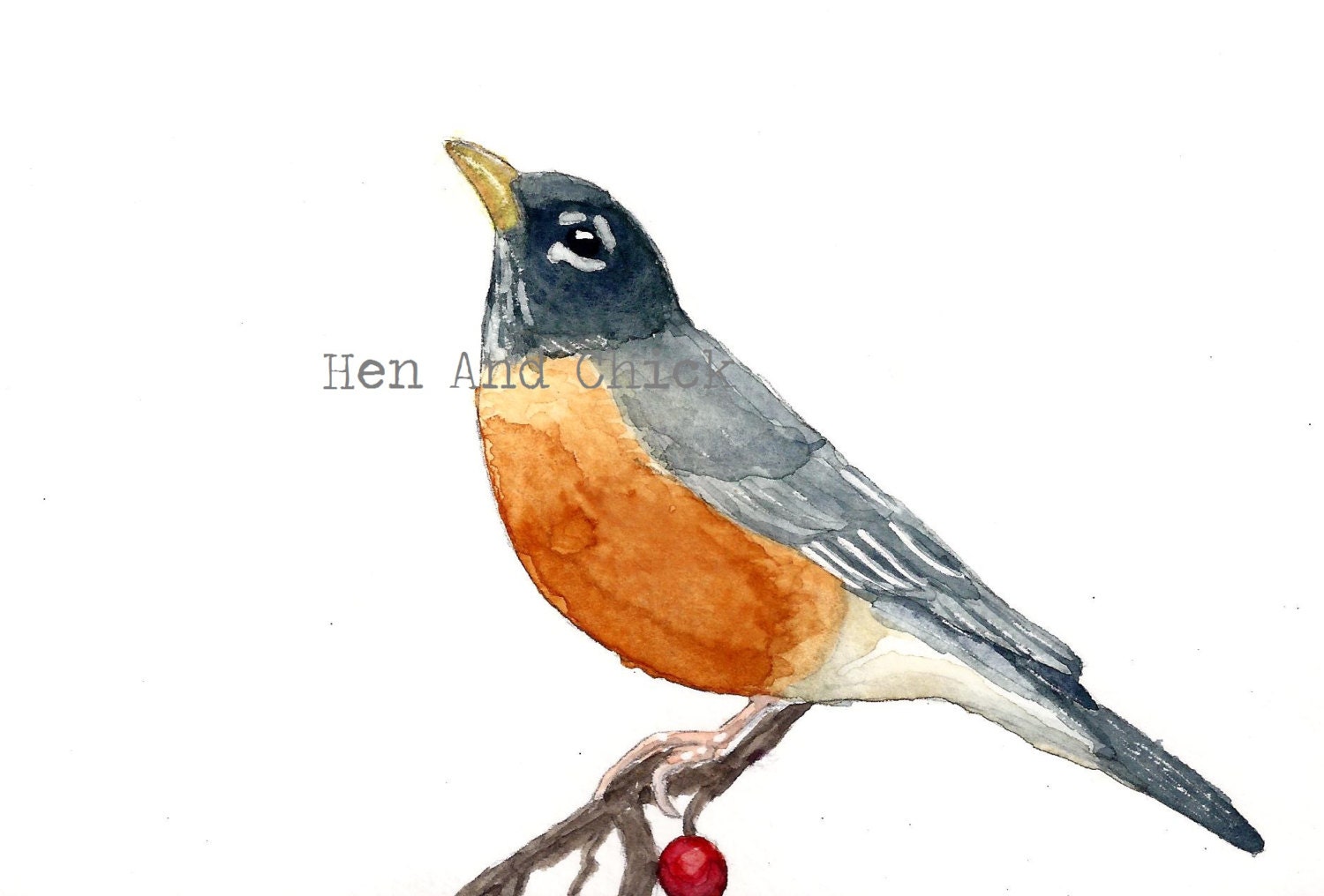 Robin Note Card, Watercolor Print Card