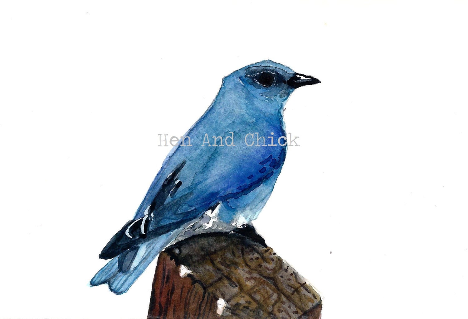 Watercolor Print Note Card Mountain Bluebird, one card