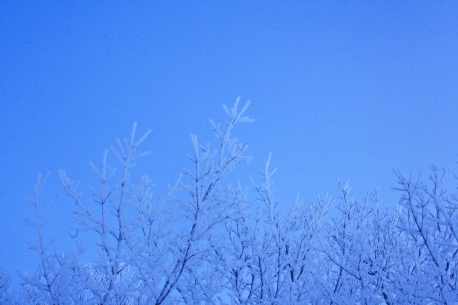 Icy Blue 4x6 Metallic Print